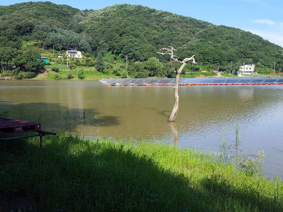 안성죽산장계지조항전경입니다 (유료터정보 - 유료터점주조황)