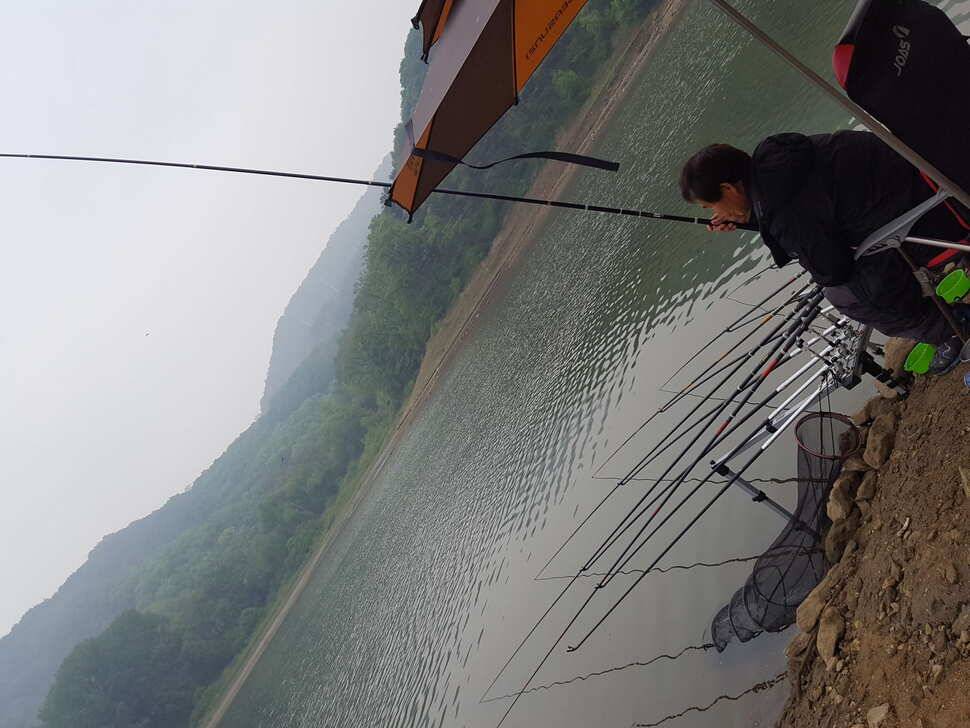 안성죽산장계지주중조항입니다 (유료터정보 - 유료터점주조황)