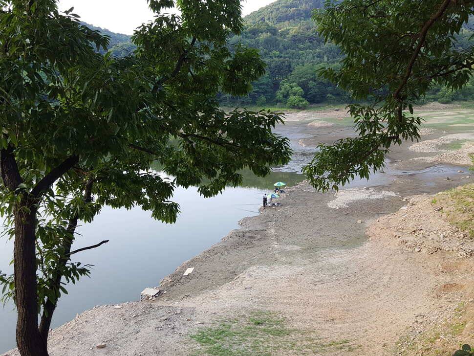 안성죽산장계지주중조항 (유료터정보 - 유료터점주조황)