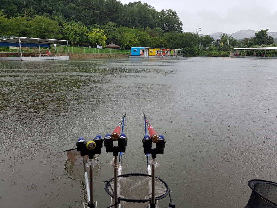 금광호수낚시터조황 (유료터정보 - 유료터점주조황)