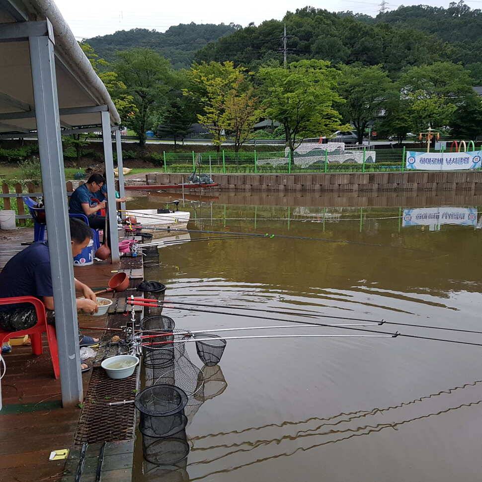 7월31일조황 (유료터정보 - 유료터점주조황)