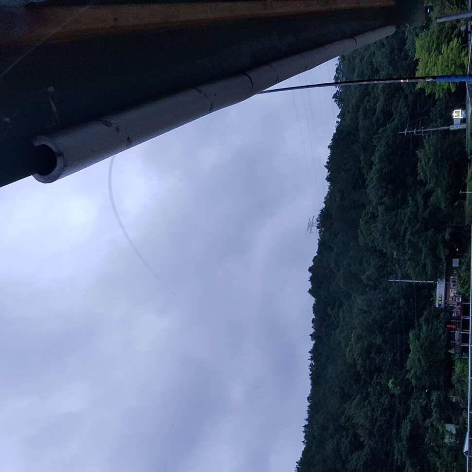 7월31일조황 (유료터정보 - 유료터점주조황)