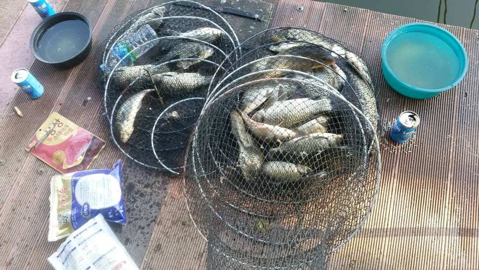천안 석곡낚시터입니다 (유료터정보 - 유료터점주조황)