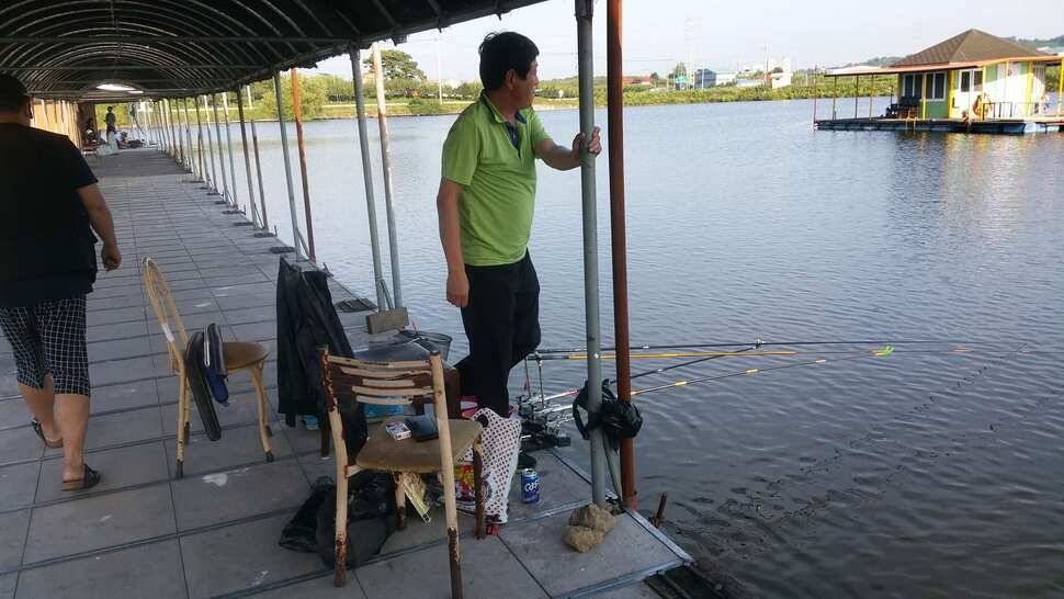 천안 석곡낚시터입니다 (유료터정보 - 유료터점주조황)