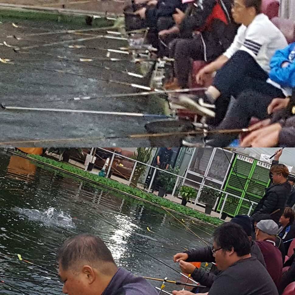 신세타령 (유료터정보 - 유료터점주조황)