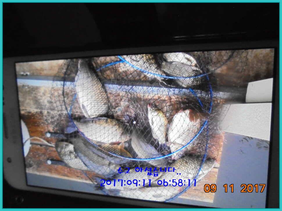 도심속의 작은 쉼터 화성 관리 낚시터입니다열정속으로 (유료터정보 - 유료터점주조황)