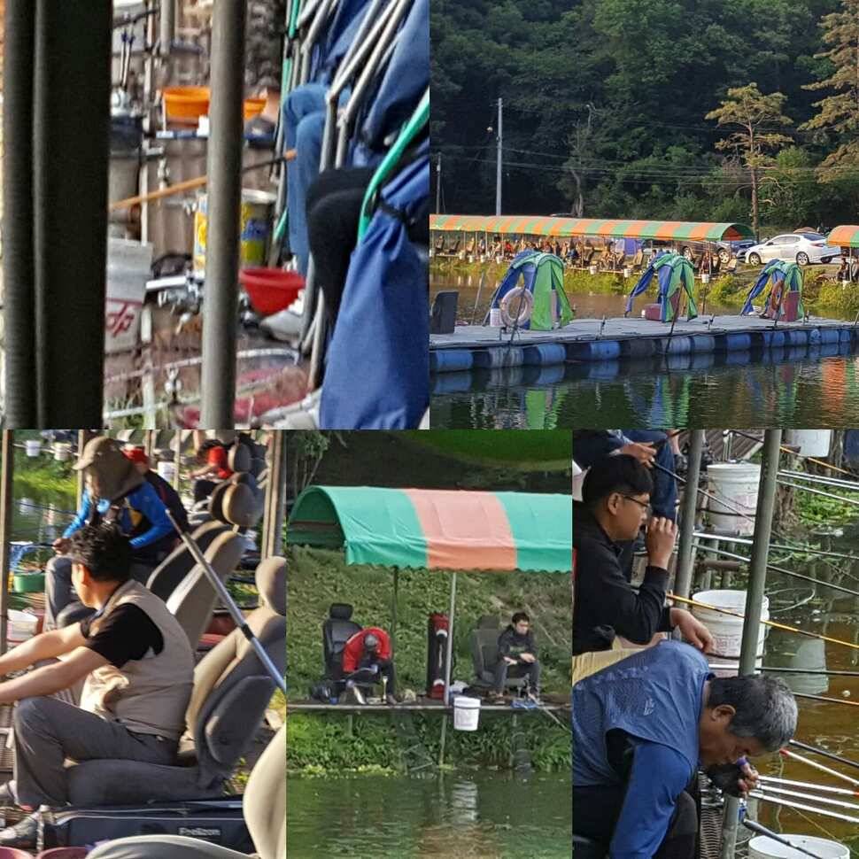 맹탕 (유료터정보 - 유료터점주조황)
