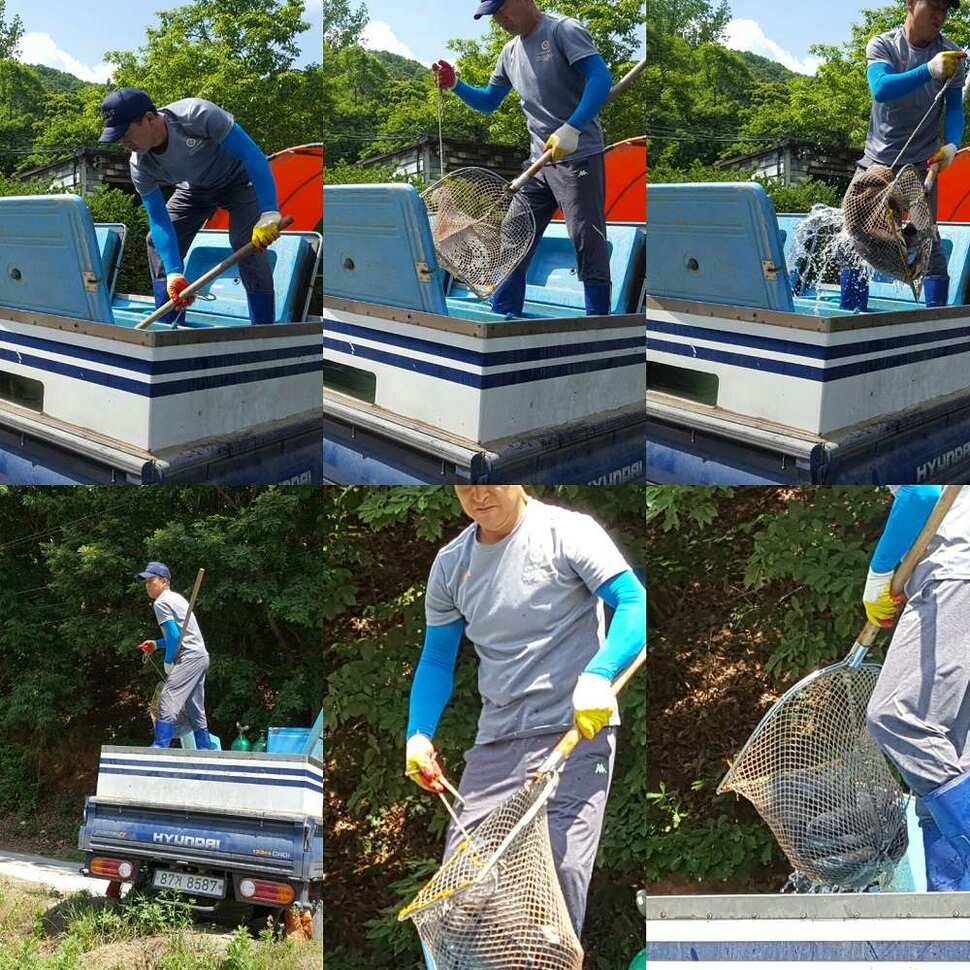 맹탕 (유료터정보 - 유료터점주조황)