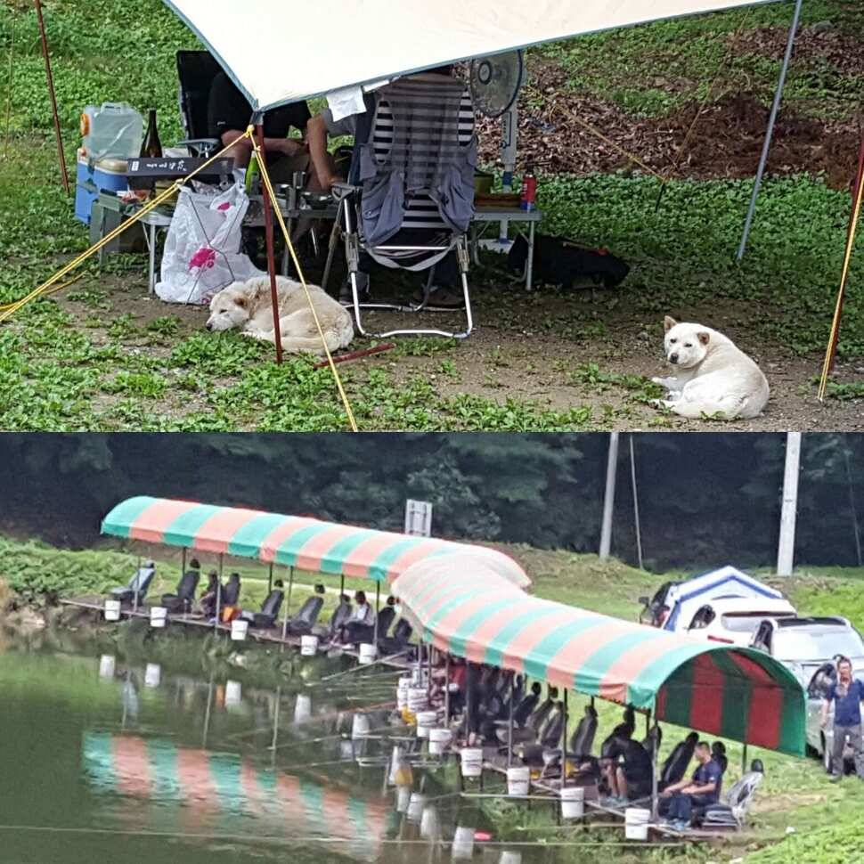 죽 마을 (유료터정보 - 유료터점주조황)