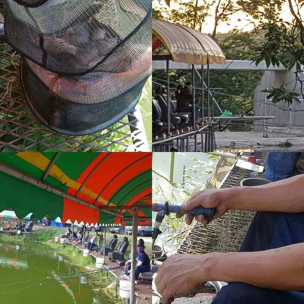 맹탕 (유료터정보 - 유료터점주조황)