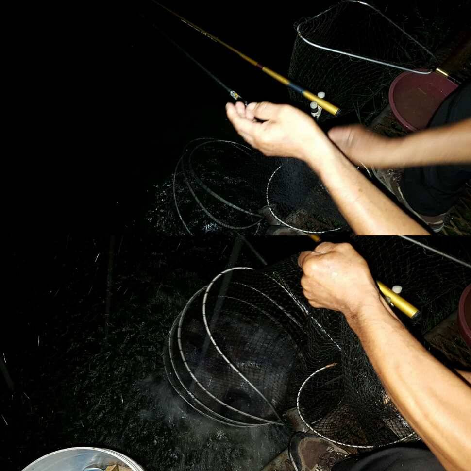 죽 마을 (유료터정보 - 유료터점주조황)