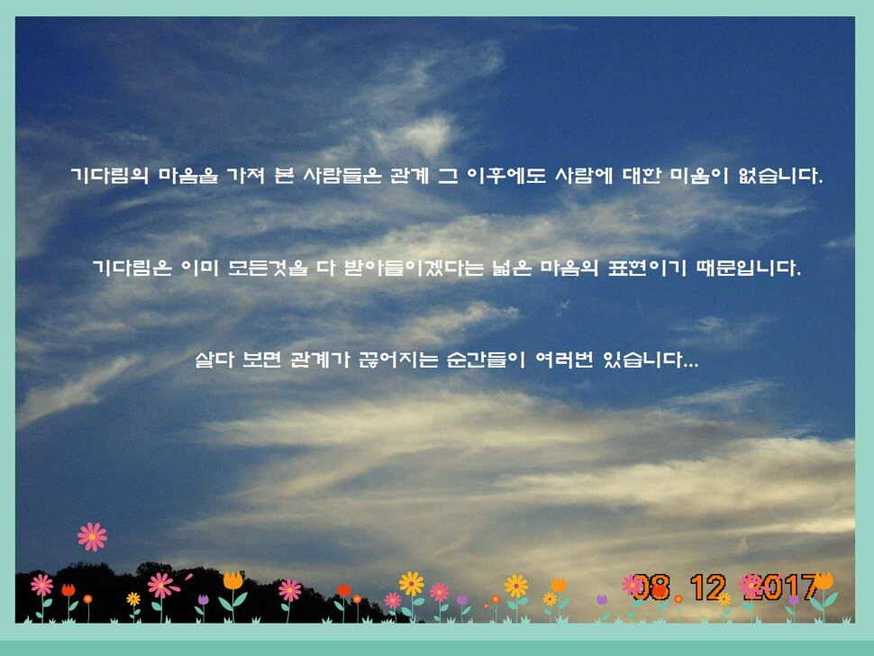 도심속의 작은 쉼터 화성 관리낚시터입니다너무 너무 좋았습니다 (유료터정보 - 유료터점주조황)