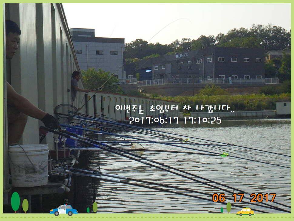 도심속의 작은 쉼터 화성 관리 낚시터입니다5짜급 방류 (유료터정보 - 유료터점주조황)