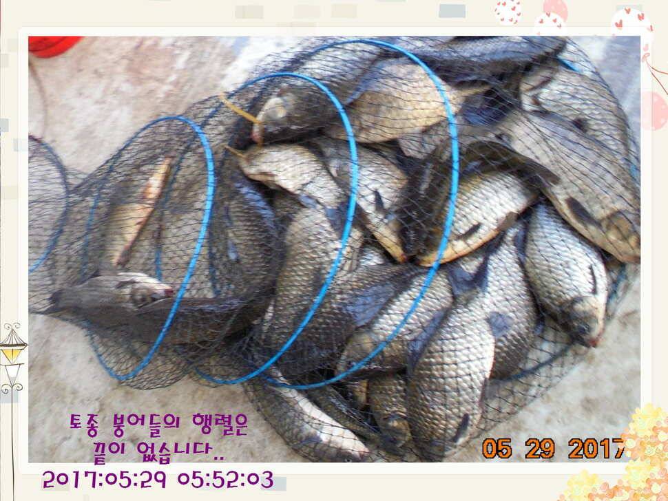 도심속의 작은 쉼터 화성 관리 낚시터입니다 (유료터정보 - 유료터점주조황)