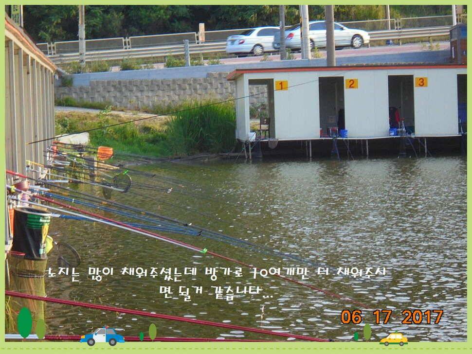 도심속의 작은 쉼터 화성 관리 낚시터입니다5짜급 방류 (유료터정보 - 유료터점주조황)