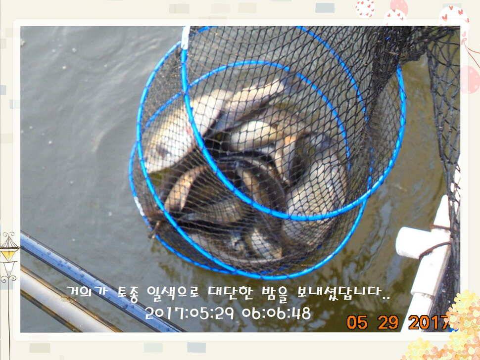 도심속의 작은 쉼터 화성 관리 낚시터입니다 (유료터정보 - 유료터점주조황)
