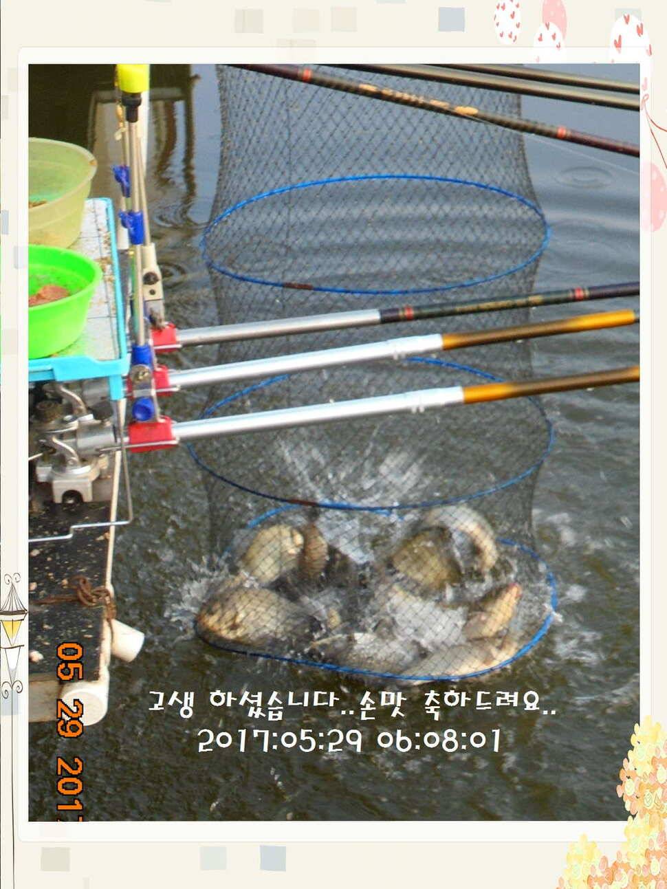 도심속의 작은 쉼터 화성 관리 낚시터입니다 (유료터정보 - 유료터점주조황)