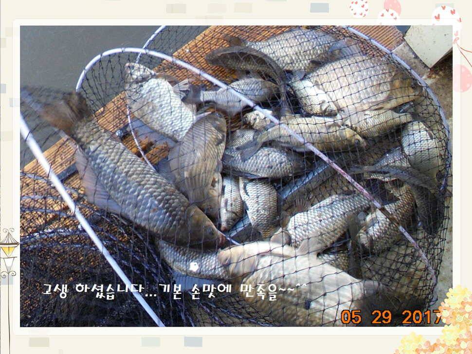 도심속의 작은 쉼터 화성 관리 낚시터입니다 (유료터정보 - 유료터점주조황)