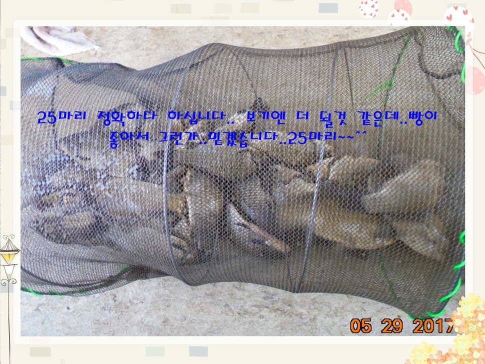 도심속의 작은 쉼터 화성 관리 낚시터입니다 (유료터정보 - 유료터점주조황)