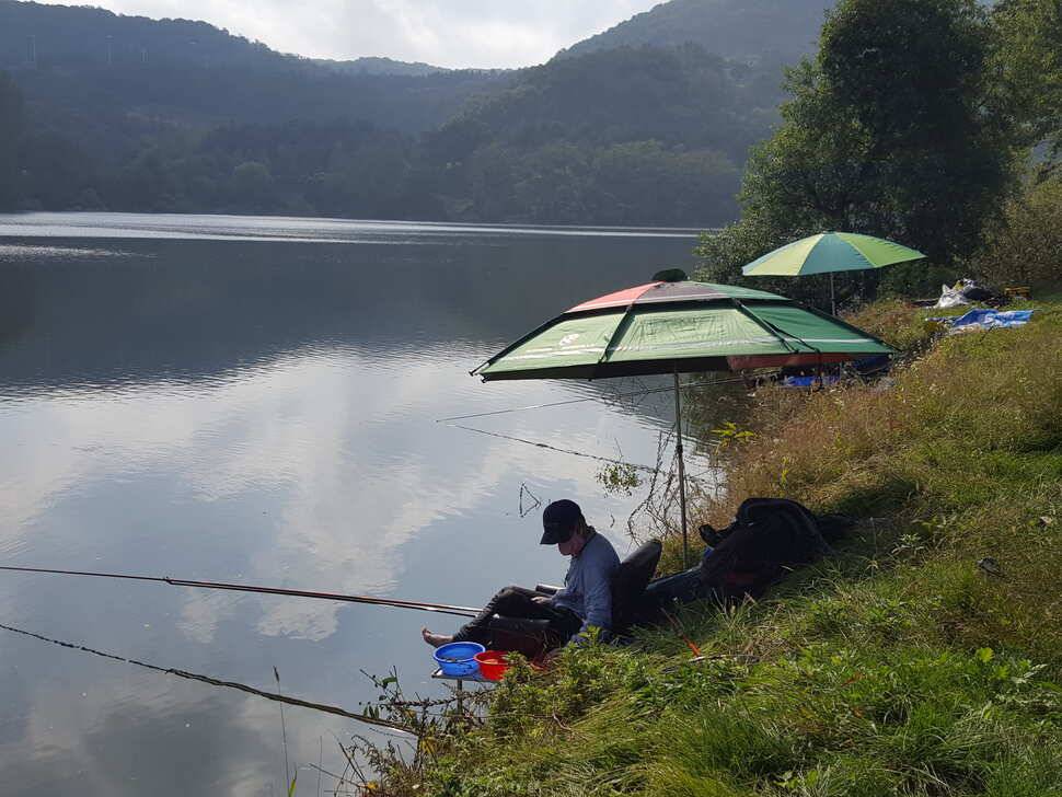 안성죽산장계지조항전경입니다 (유료터정보 - 유료터점주조황)