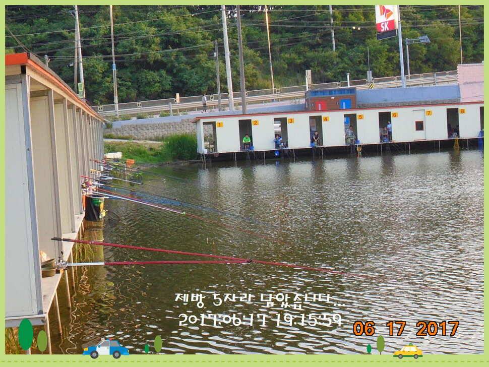 도심속의 작은 쉼터 화성 관리 낚시터입니다5짜급 방류 (유료터정보 - 유료터점주조황)