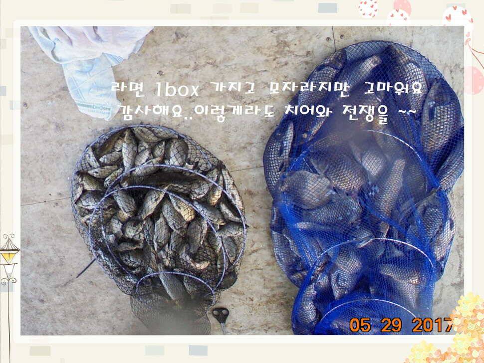 도심속의 작은 쉼터 화성 관리 낚시터입니다 (유료터정보 - 유료터점주조황)