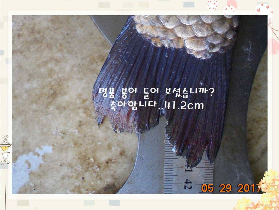도심속의 작은 쉼터 화성 관리 낚시터입니다 (유료터정보 - 유료터점주조황)