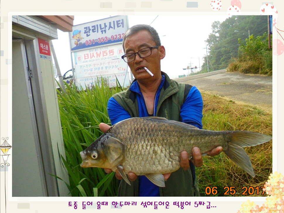 도심속의 작은 쉼터 화성 관리 낚시터입니다6월에 마지막 소식5짜 방류 (유료터정보 - 유료터점주조황)