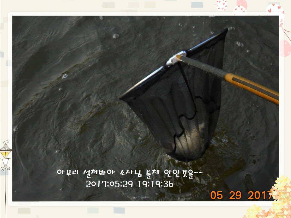 도심속의 작은 쉼터 화성 관리 낚시터입니다 (유료터정보 - 유료터점주조황)