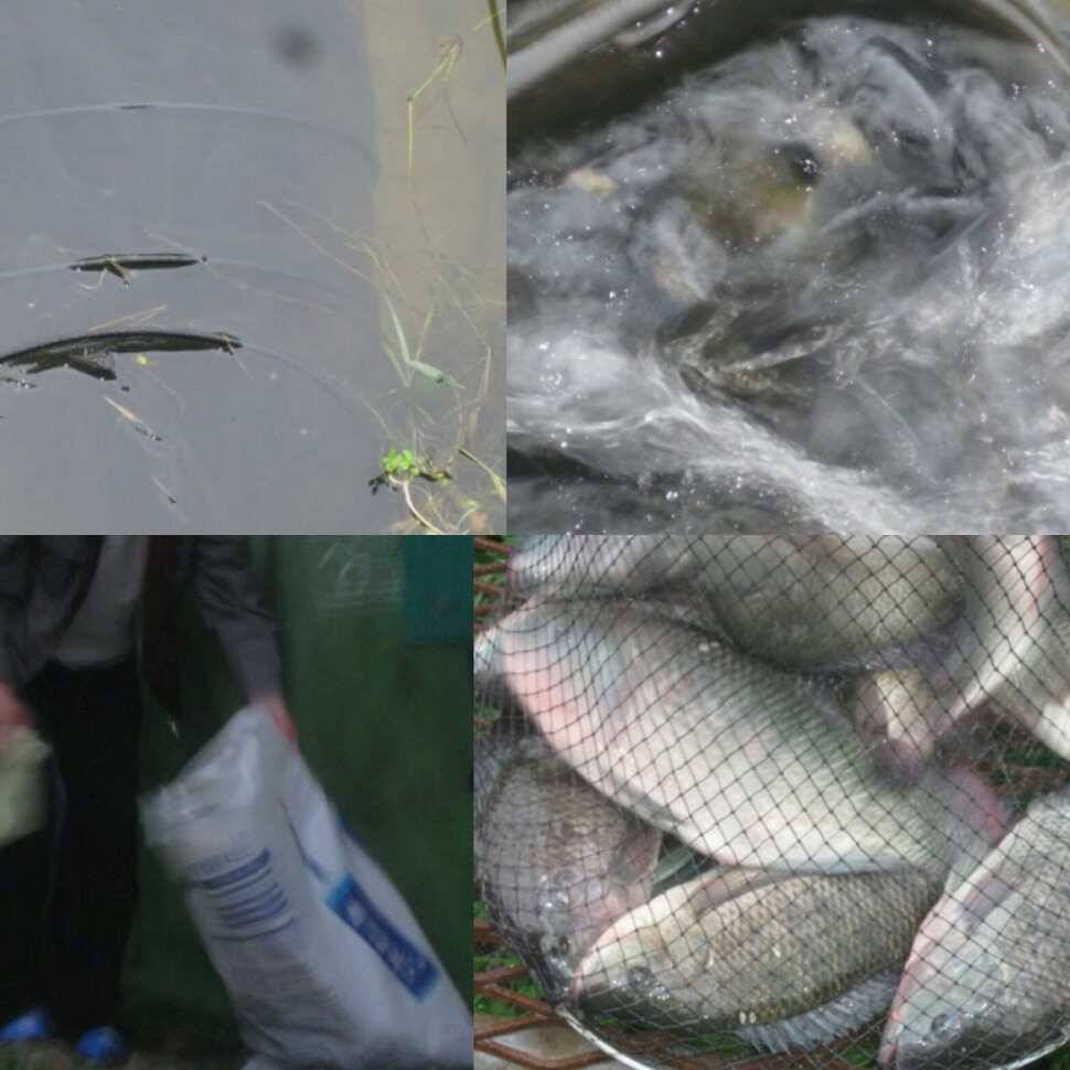 고상한 취미 (유료터정보 - 유료터점주조황)