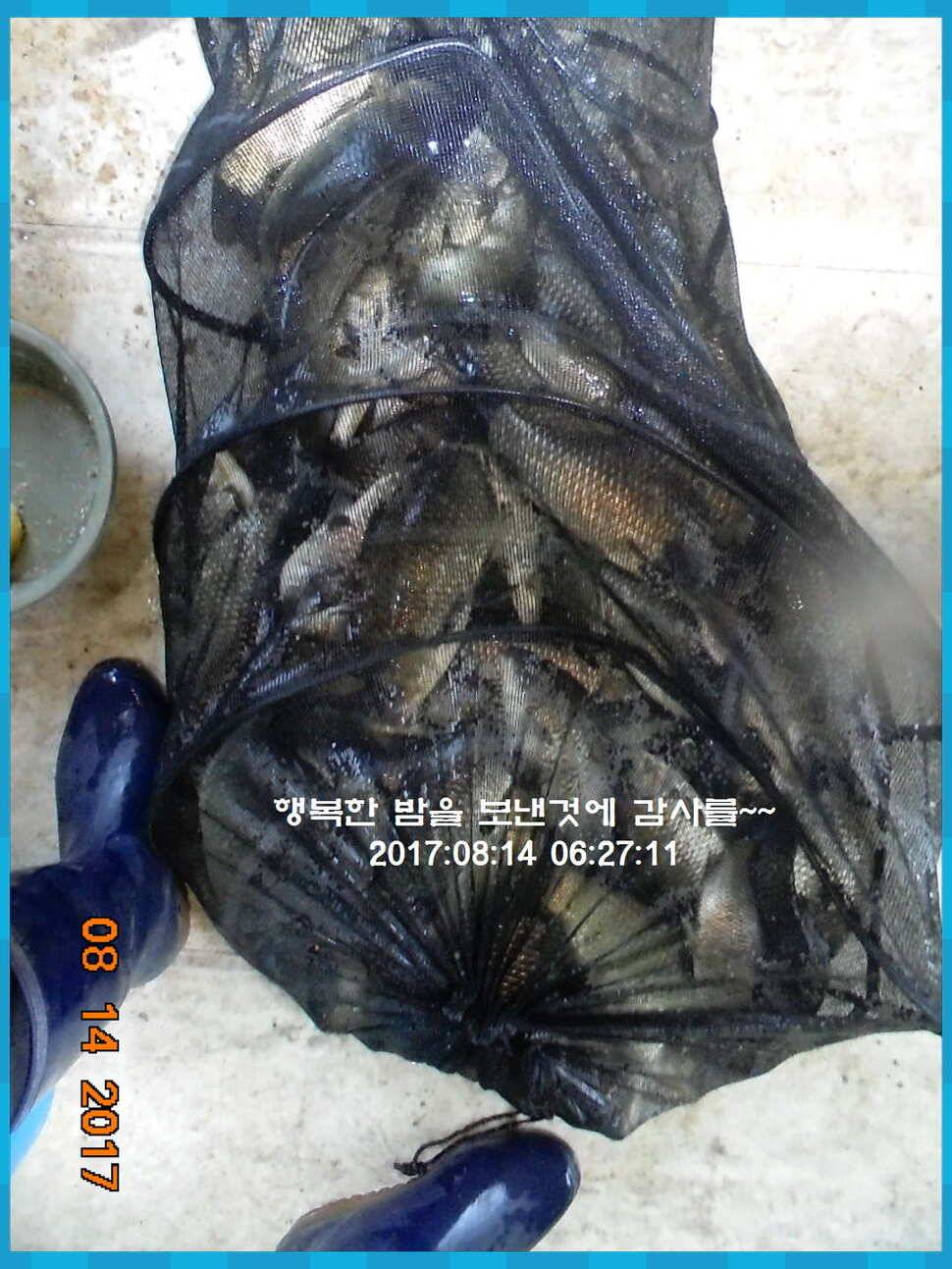 도심속의 작은 쉼터 화성 관리 낚시터입니다관리의 밤은 꽃길입니다 (유료터정보 - 유료터점주조황)