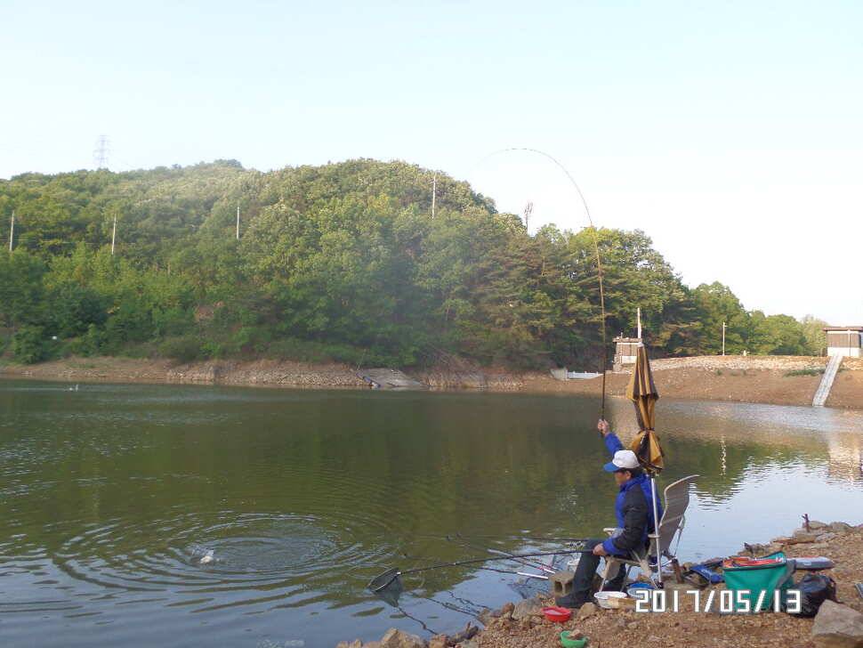 아산 신수지 5월 둘째주말화보입니다 (유료터정보 - 유료터점주조황)