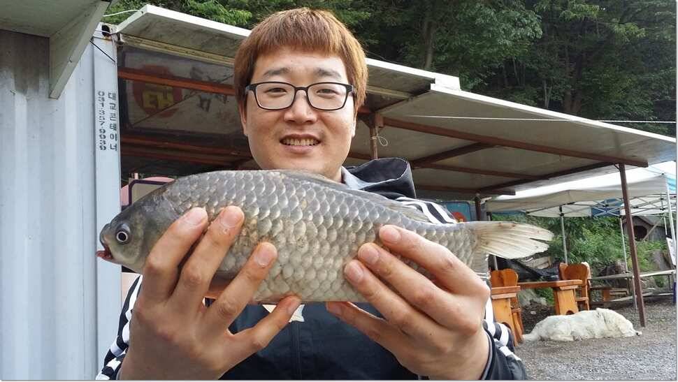 택암낚시터 6월 둘째주소식 (유료터정보 - 유료터점주조황)