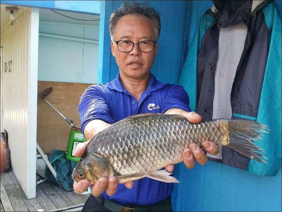 170801 송전지 서울집 조황 (유료터정보 - 유료터점주조황)