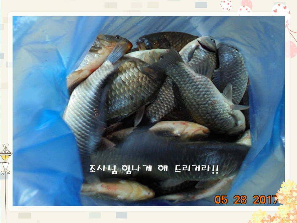 도심속의 작은 쉼터 화성 관리 낚시터입니다밤은 대단합니다 (유료터정보 - 유료터점주조황)