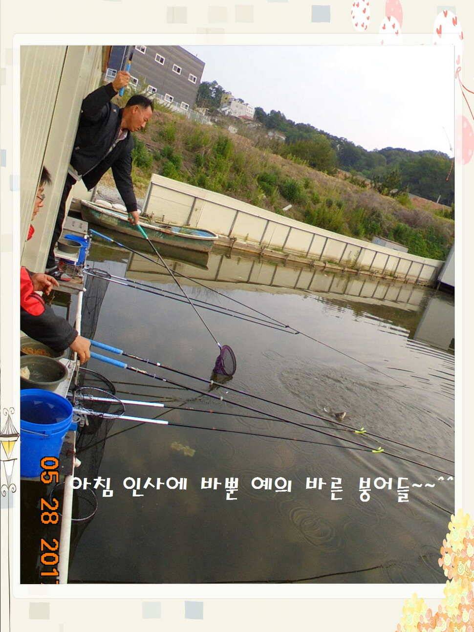도심속의 작은 쉼터 화성 관리 낚시터입니다밤은 대단합니다 (유료터정보 - 유료터점주조황)