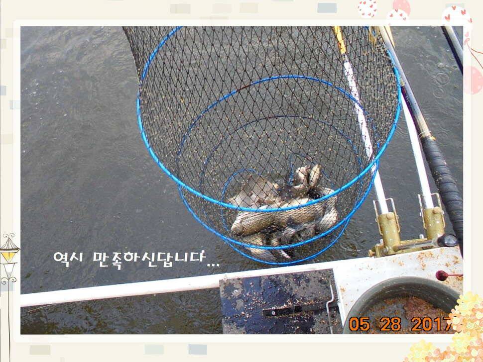 도심속의 작은 쉼터 화성 관리 낚시터입니다밤은 대단합니다 (유료터정보 - 유료터점주조황)
