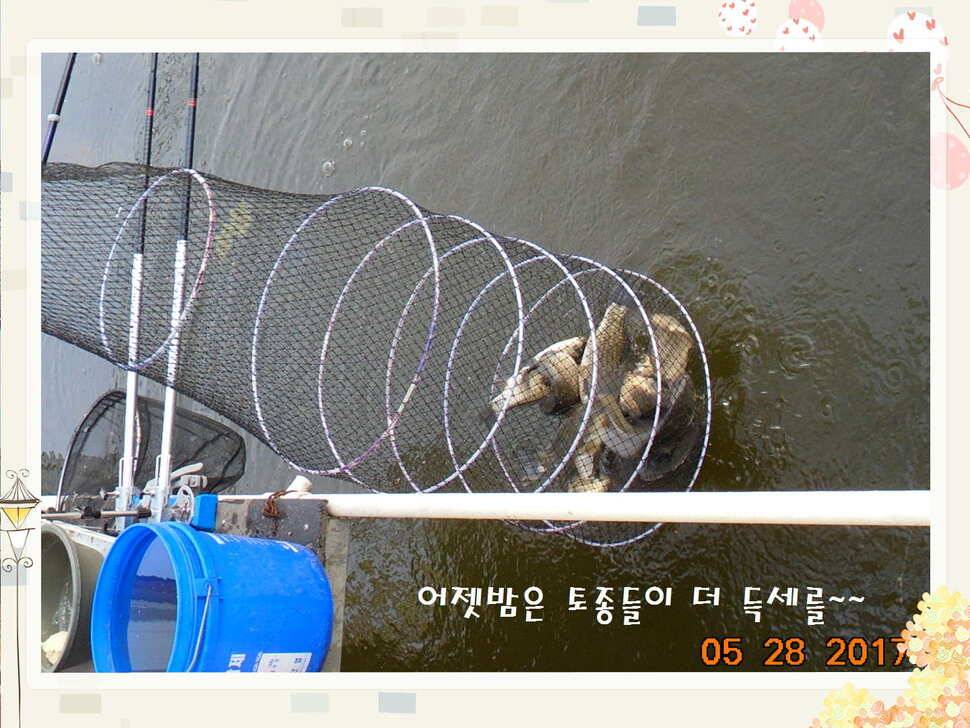 도심속의 작은 쉼터 화성 관리 낚시터입니다밤은 대단합니다 (유료터정보 - 유료터점주조황)