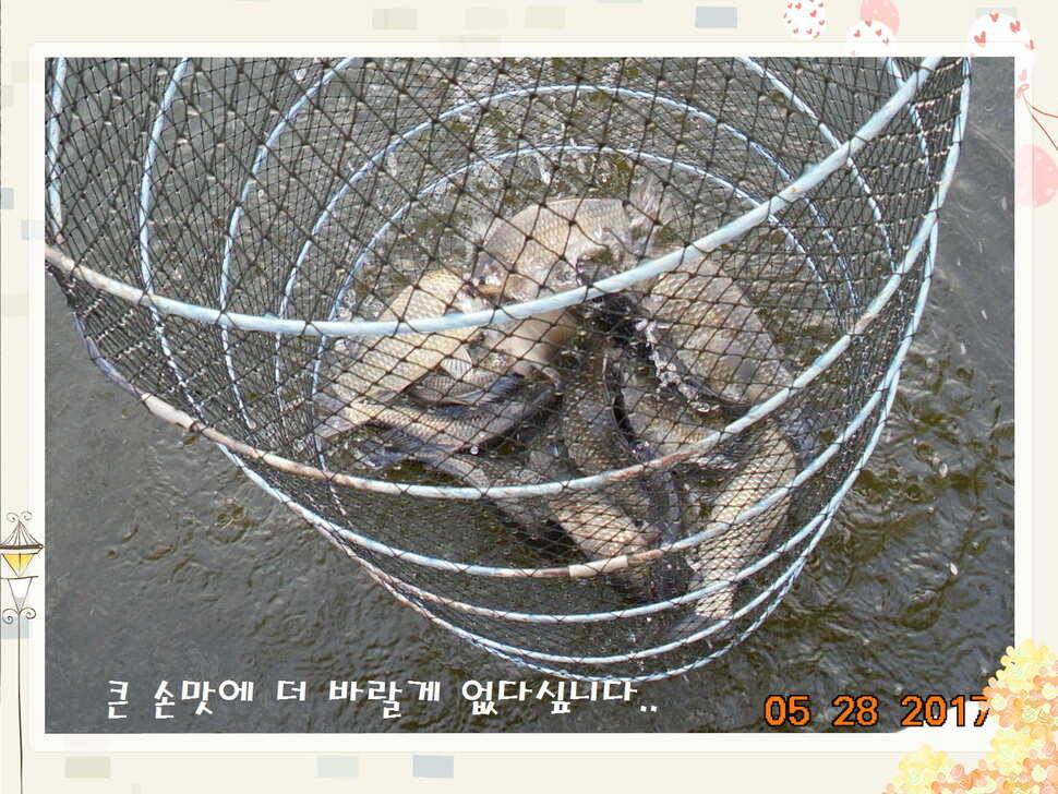 도심속의 작은 쉼터 화성 관리 낚시터입니다밤은 대단합니다 (유료터정보 - 유료터점주조황)
