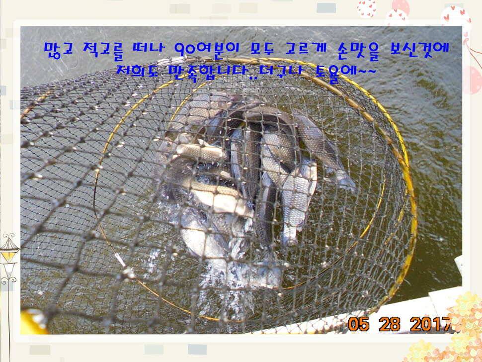 도심속의 작은 쉼터 화성 관리 낚시터입니다밤은 대단합니다 (유료터정보 - 유료터점주조황)