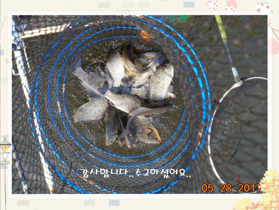 도심속의 작은 쉼터 화성 관리 낚시터입니다밤은 대단합니다 (유료터정보 - 유료터점주조황)