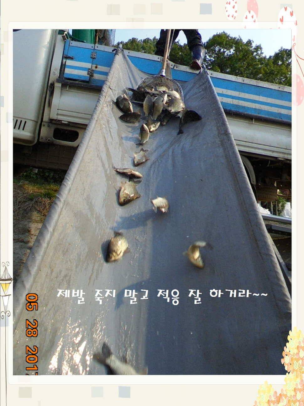 도심속의 작은 쉼터 화성 관리 낚시터입니다밤은 대단합니다 (유료터정보 - 유료터점주조황)