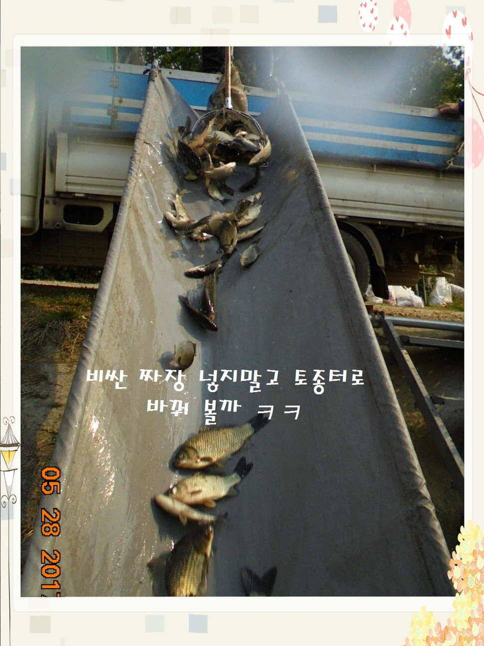 도심속의 작은 쉼터 화성 관리 낚시터입니다밤은 대단합니다 (유료터정보 - 유료터점주조황)