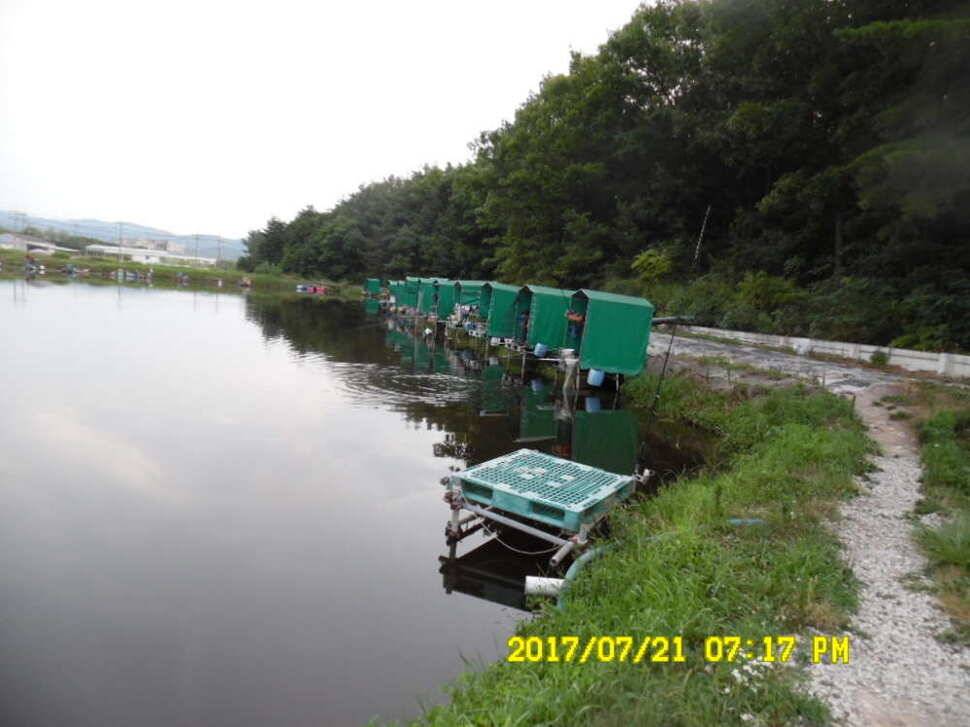 경주동산낚시터 지난주 대박 조황 (유료터정보 - 유료터점주조황)