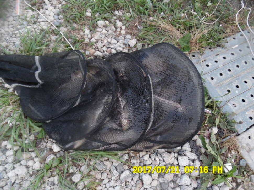 경주동산낚시터 지난주 대박 조황 (유료터정보 - 유료터점주조황)