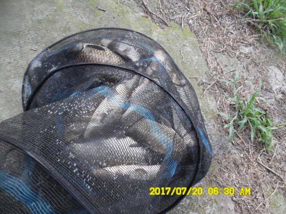 경주동산낚시터 지난주 대박 조황 (유료터정보 - 유료터점주조황)