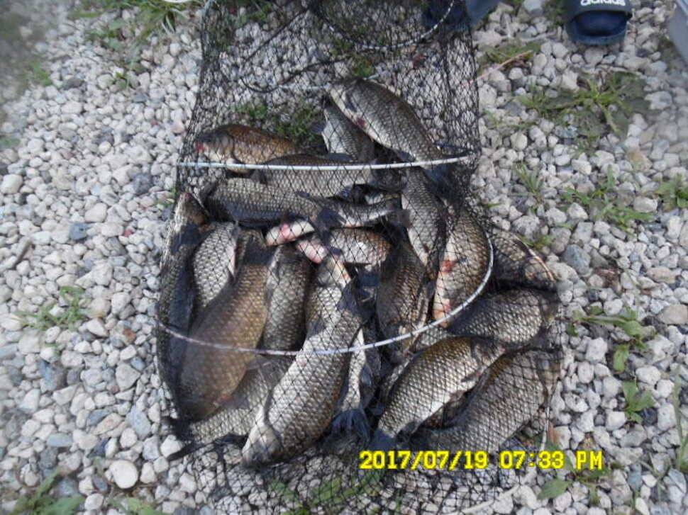 경주동산낚시터 지난주 대박 조황 (유료터정보 - 유료터점주조황)