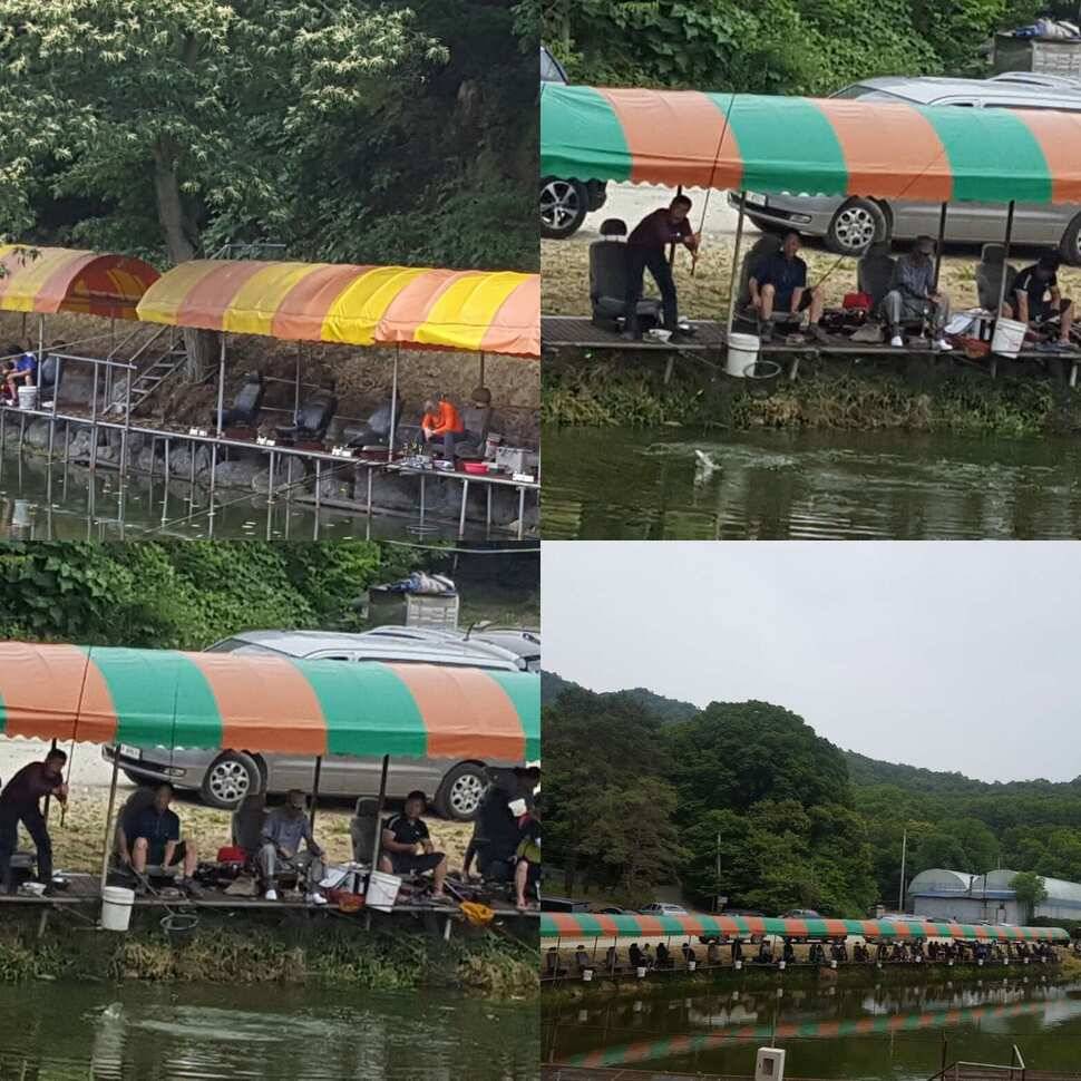 우스꽝스러운 데가 있어 (유료터정보 - 유료터점주조황)