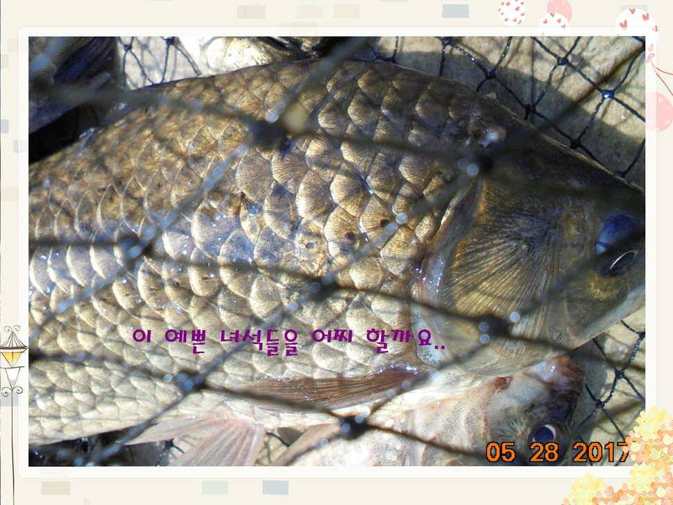 도심속의 작은 쉼터 화성 관리 낚시터입니다밤은 대단합니다 (유료터정보 - 유료터점주조황)