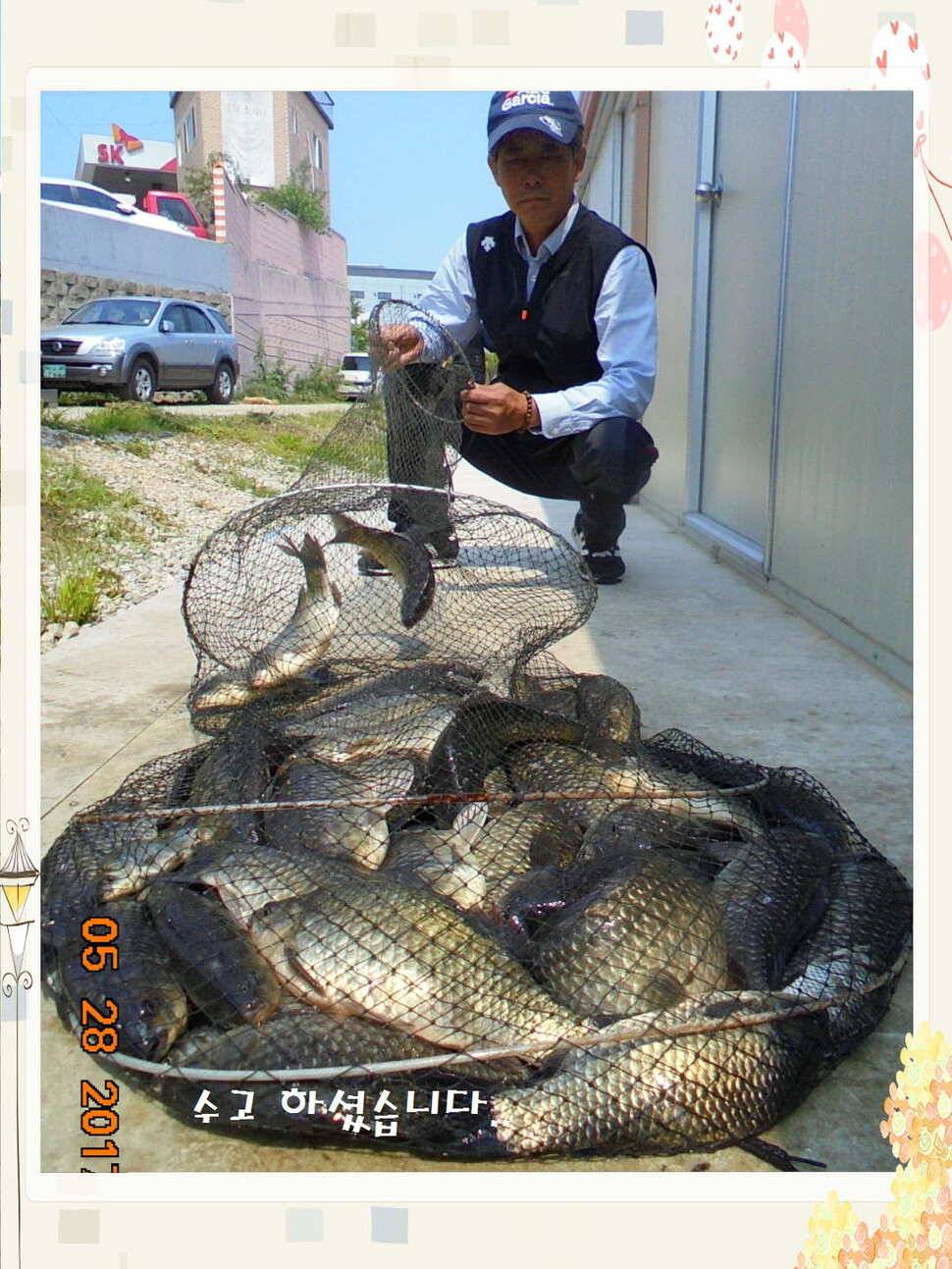 도심속의 작은 쉼터 화성 관리 낚시터입니다밤은 대단합니다 (유료터정보 - 유료터점주조황)